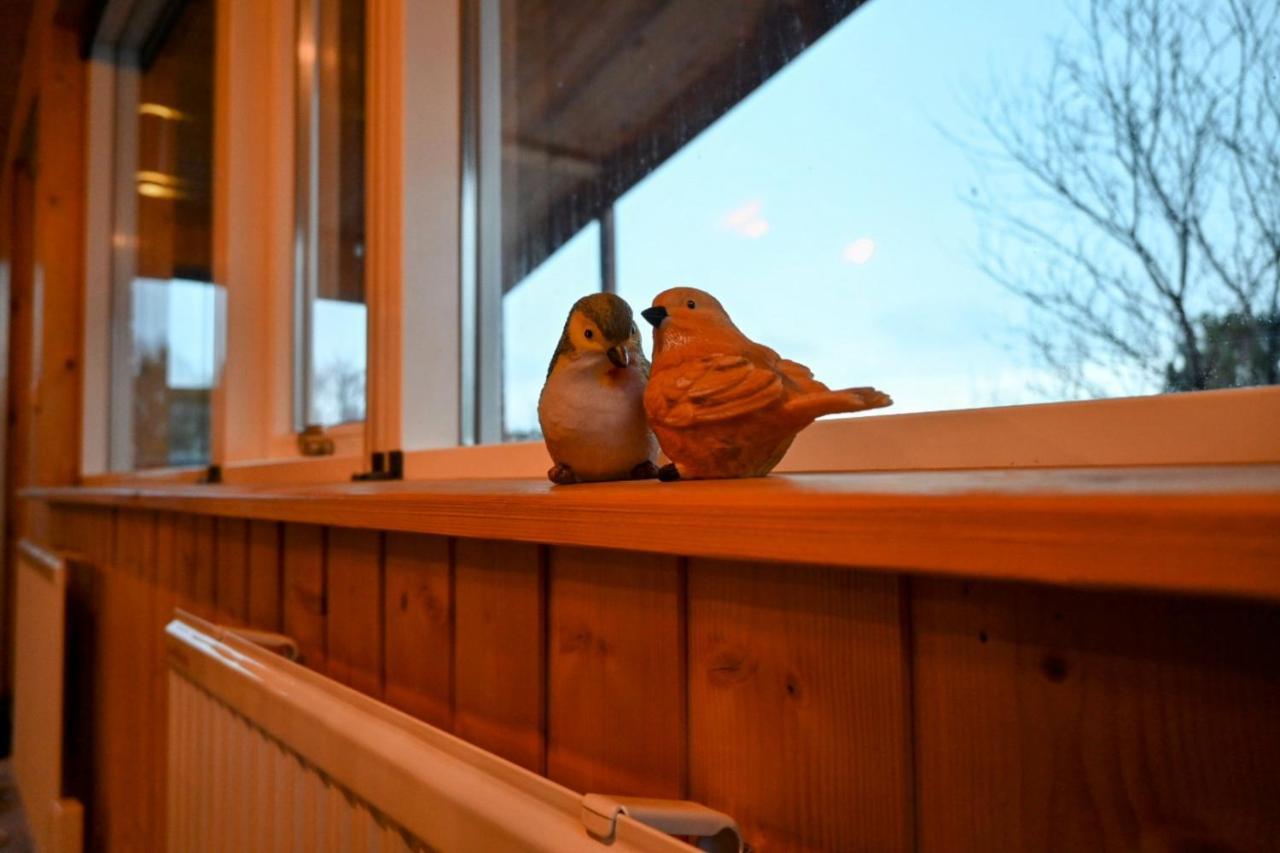 Thingvellir Cabin/Chalet سيلفوس المظهر الخارجي الصورة