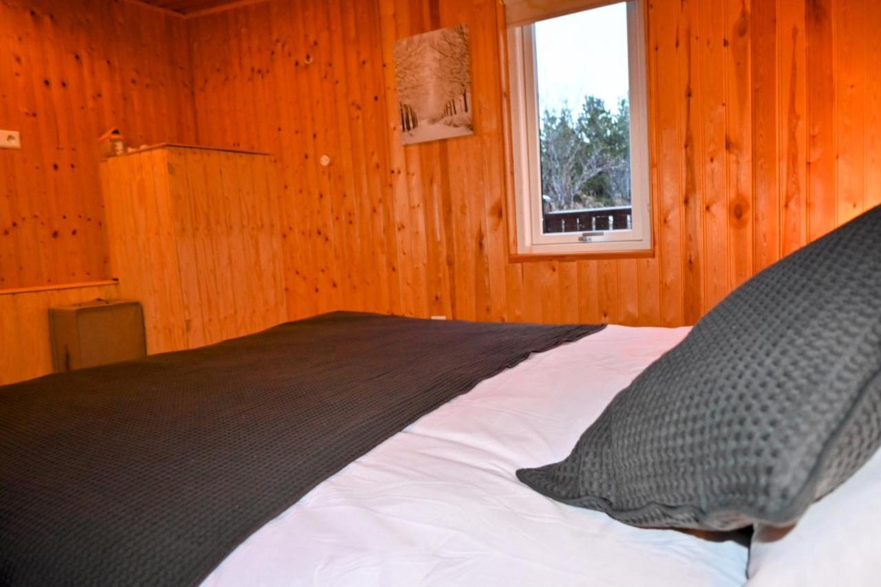 Thingvellir Cabin/Chalet سيلفوس المظهر الخارجي الصورة